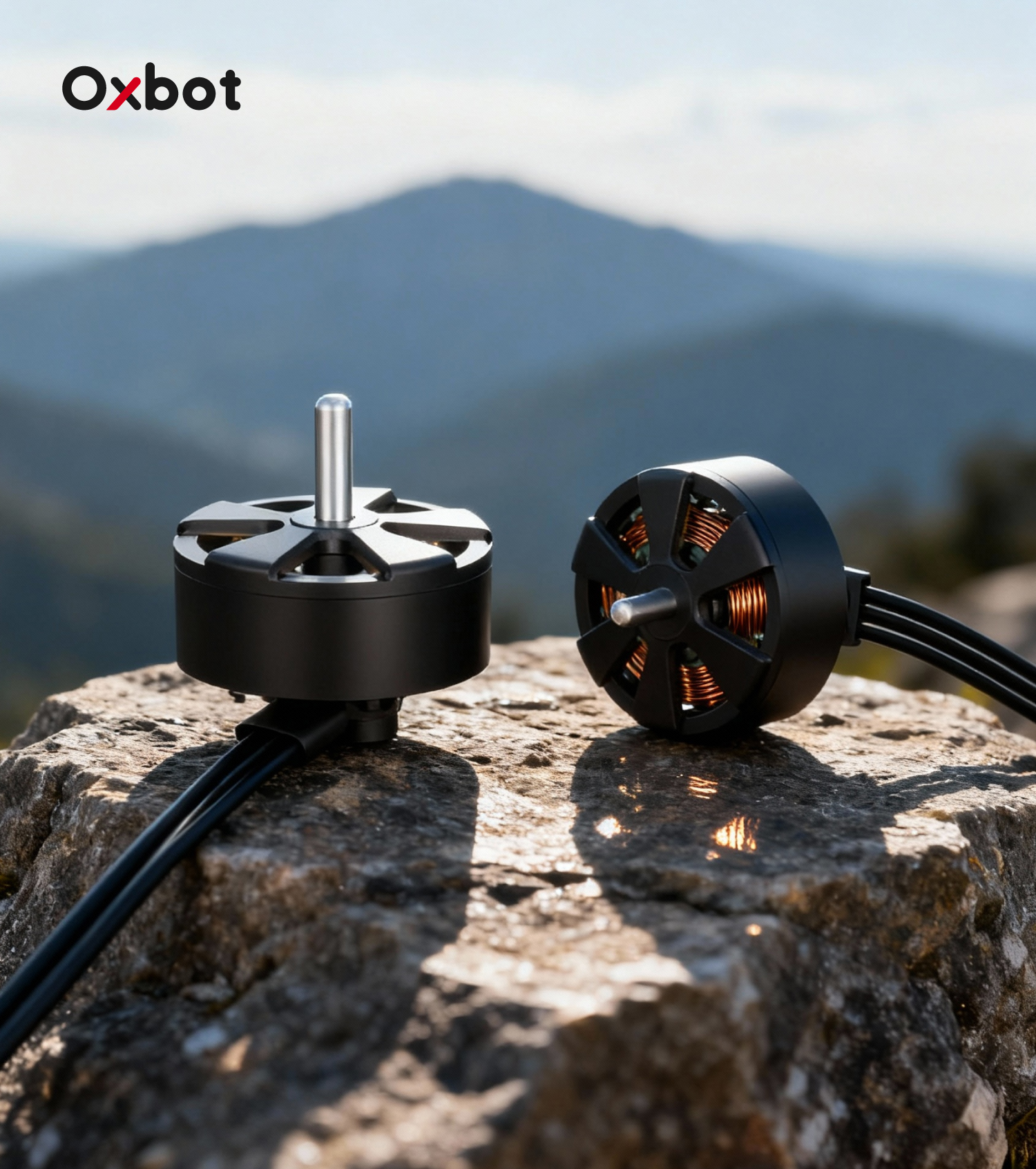 OxBot Lumo18 Motor