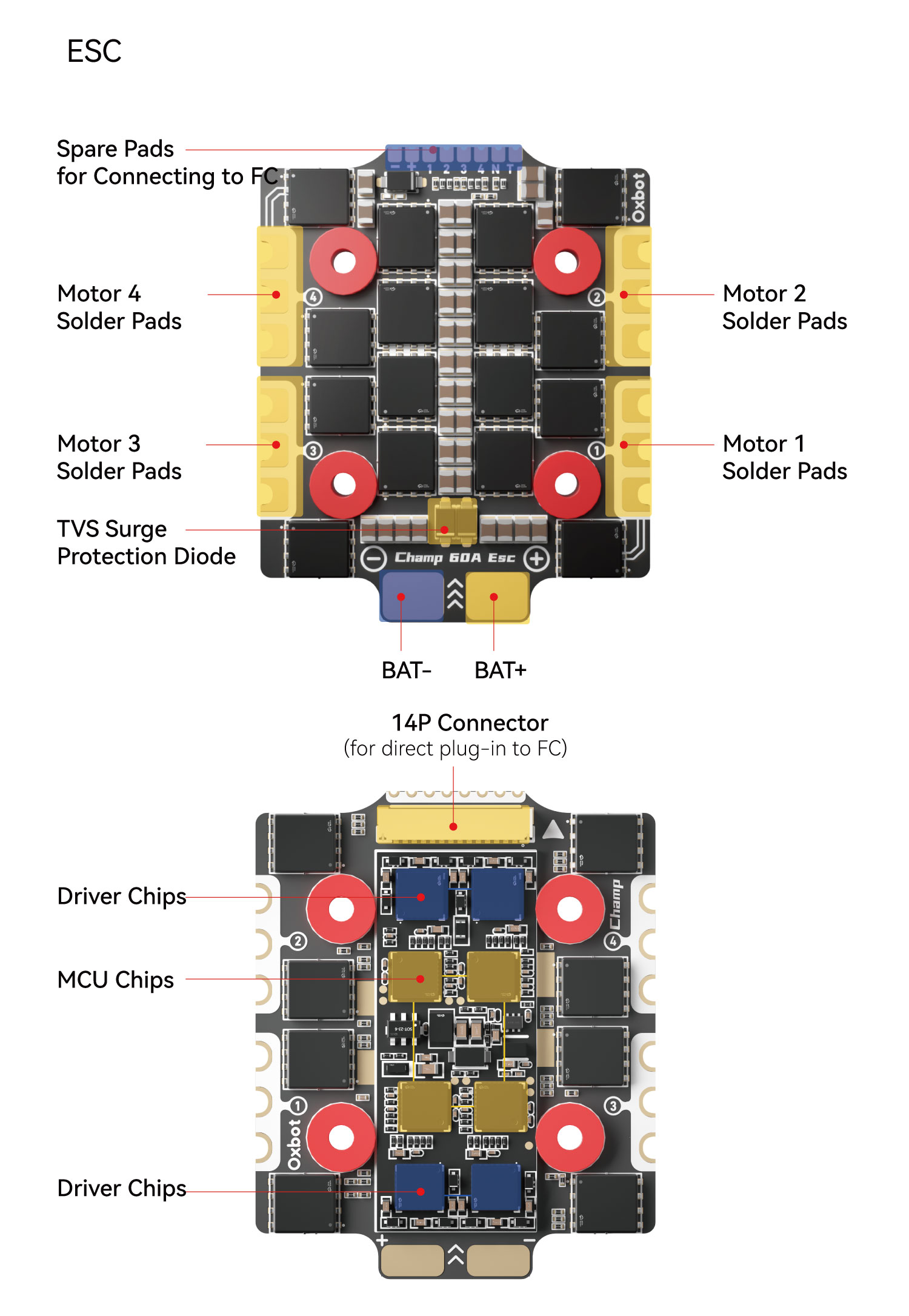 OxBot Bhamp Stack
